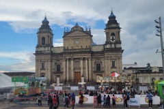 Central Park, Guatemala City