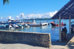Livingston, přístav