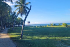 Livingston, Karibik