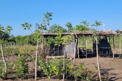 San José, Guatemala