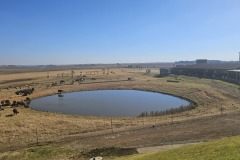 Minizoo u benzínky Alzu