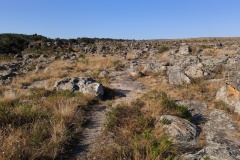 Kamenná pole u Kaapschehoop