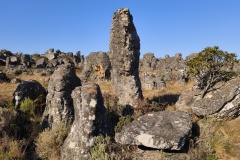 Kamenná pole u Kaapschehoop