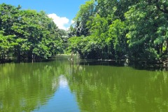 Botanická zahrada Mauritius - jezero